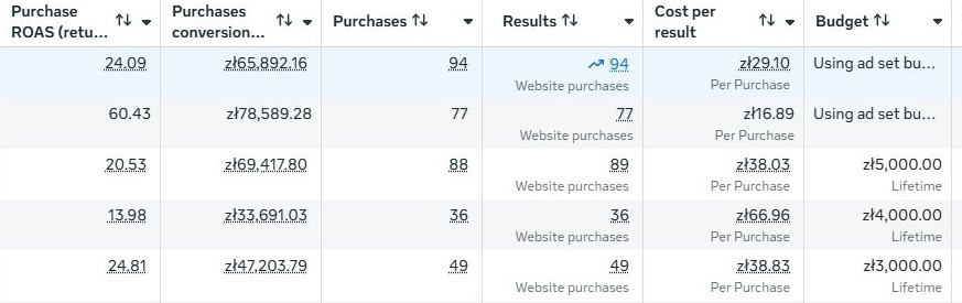 Wyniki ROAS Kampania Google Ads dla sklepu e-commerce